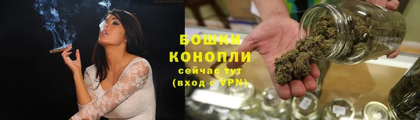 сатива Армянск