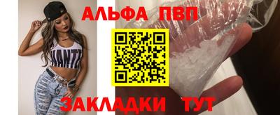 шишки Заволжье
