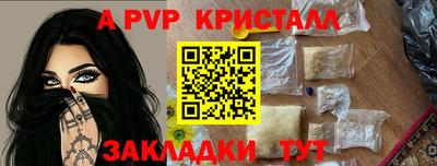шишки Заволжье