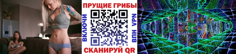 Галлюциногенные грибы Psilocybine cubensis  блэк спрут вход  Санкт-Петербург  купить  