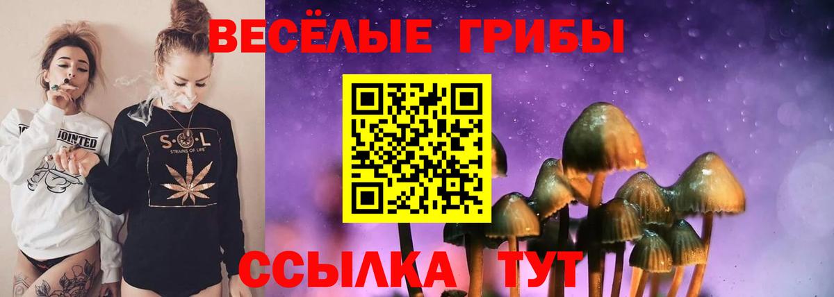 Санкт-Петербург  Псилоцибиновые грибы ЛСД  Вход с VPN 